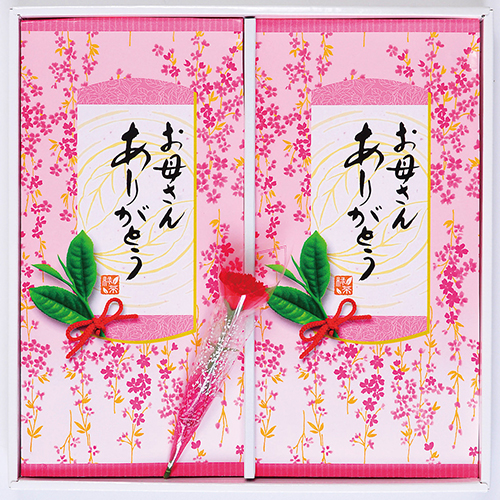 【2022年5月6日～8日着】母の日用　宇治新茶ギフト　2袋入(ゆうパケット送料込み)